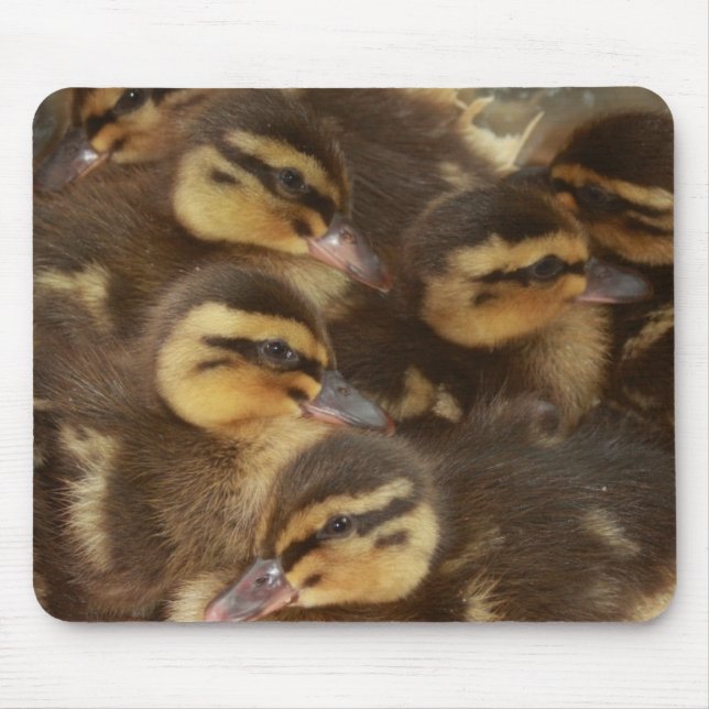 Ducks!! Mouse Mat (Front)