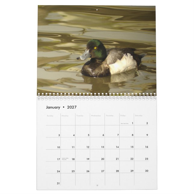 Ducks of North America 2010 Calendar (Jan 2027)