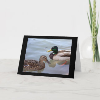 Ducks on a Pond Card