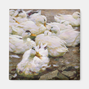 Ducks on a pond magnet