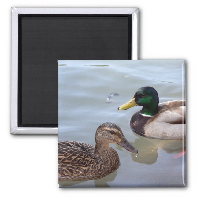 Ducks on a Pond Magnet (Front)