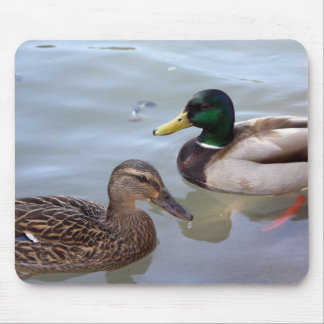 Ducks on a Pond Mousepad