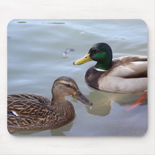 Ducks on a Pond Mousepad (Front)