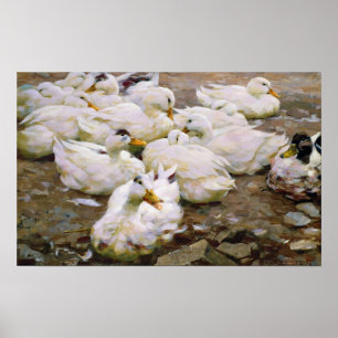 Ducks on a pond poster