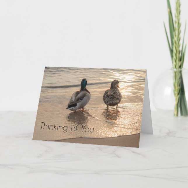 Ducks on beach card (Front)