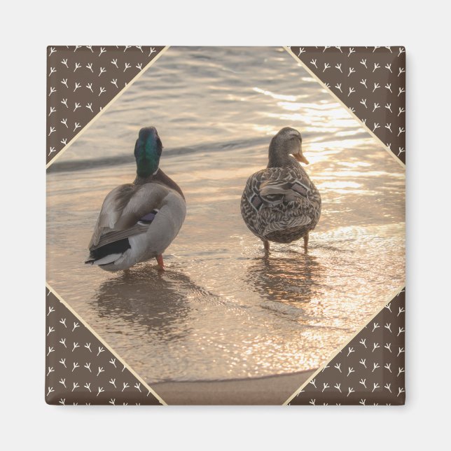 Ducks on Beach Scenic Brown Magnet (Front)