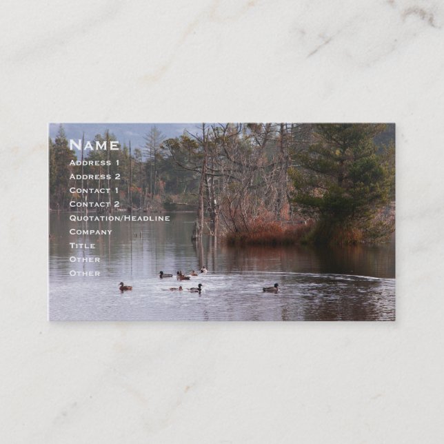 Ducks On Empire Lake Business Card (Front)