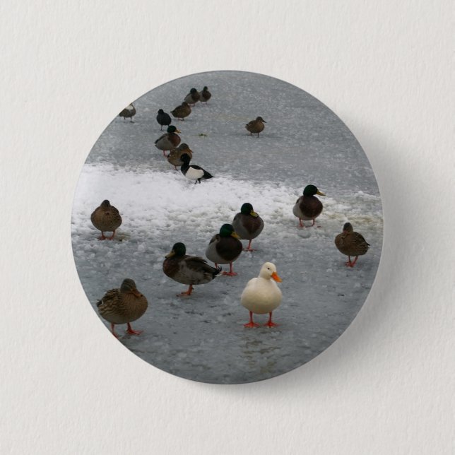Ducks on Ice 6 Cm Round Badge (Front)