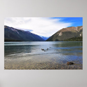 Ducks on Lake Rotoiti Poster
