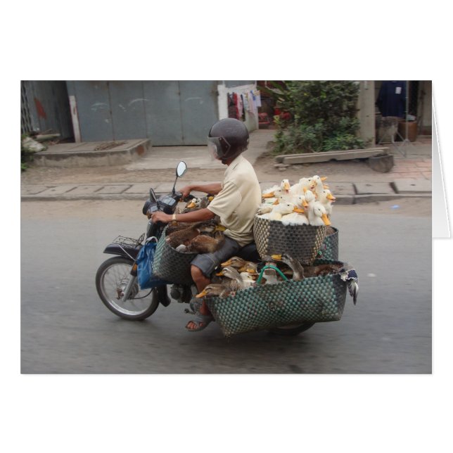 Ducks on motorbike-Vietnam (Front Horizontal)