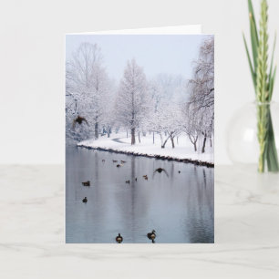 Ducks on the Creek Card