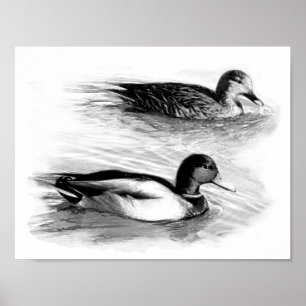 Ducks on the Lake Poster
