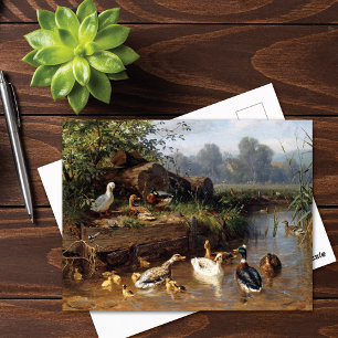 Ducks on the River Carl Jutz Postcard
