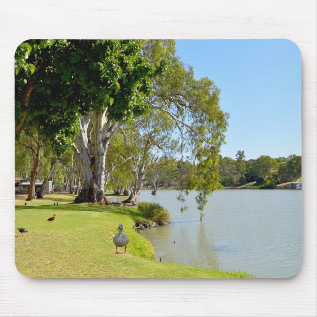 Ducks On The River Murray Australia, Mouse Mat (Front)