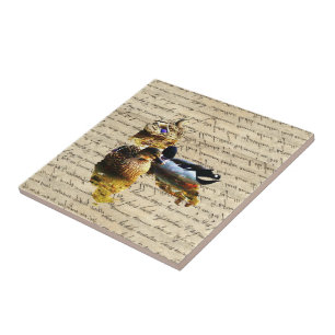Ducks on vintage paper tile