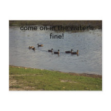 Ducks on water Invitation
