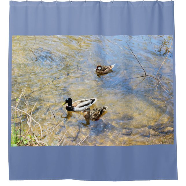 Ducks Photo Shower Curtain (Front)