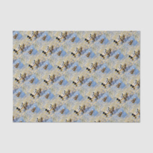 Ducks Photo Tissue Paper