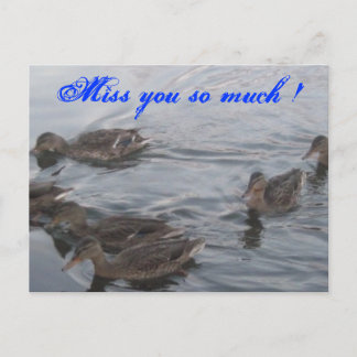 DUCKS POSTCARD
