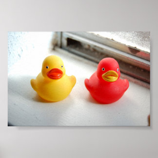Ducks Poster