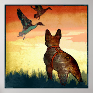 Ducks Poster