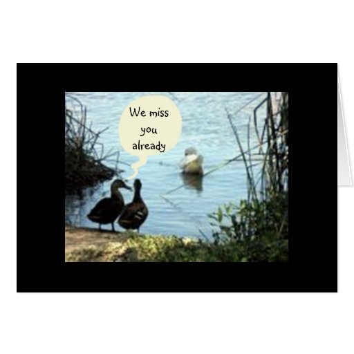 DUCKS SAY WE MISS YOU ALREADY COME BACK | Zazzle