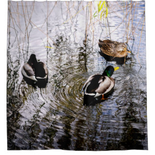 Ducks Shower Curtain
