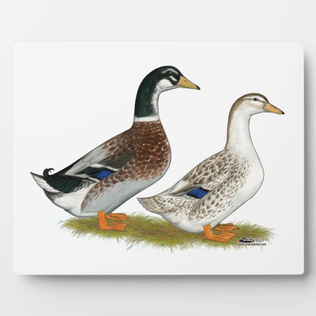 Ducks:  Silver Appleyard Plaque (Front)
