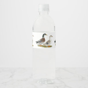 Ducks:  Silver Appleyard Water Bottle Label