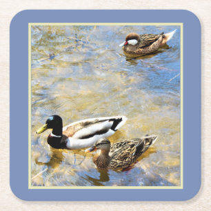 Ducks Square Paper Coaster