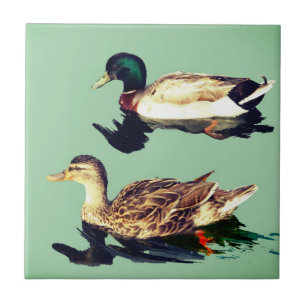 Ducks Tile