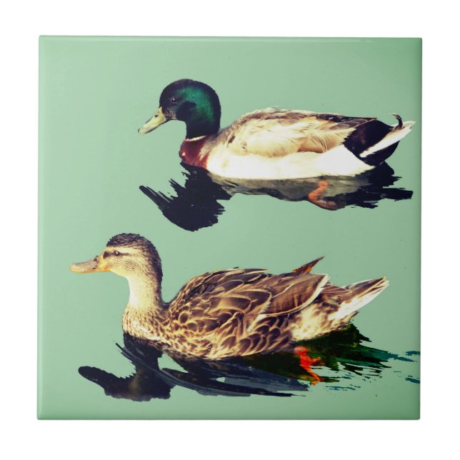 Ducks Tile (Front)