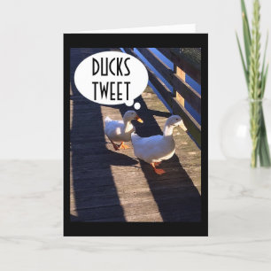 DUCKS TWEETING HAPPY BIRTHDAY TO MY TWIN CARD