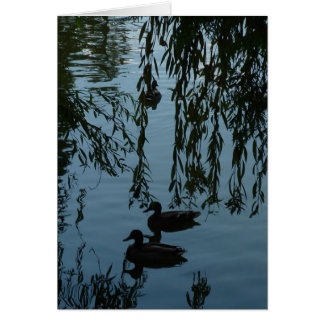 Ducks Under the Willow