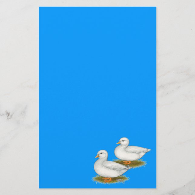 Ducks:  White Calls (Front)