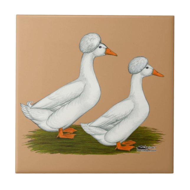 Ducks:  White Crested Tile (Front)