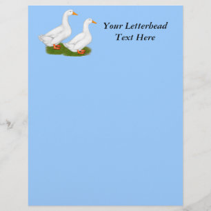Ducks: White Pekins