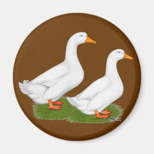 Ducks: White Pekins Magnet
