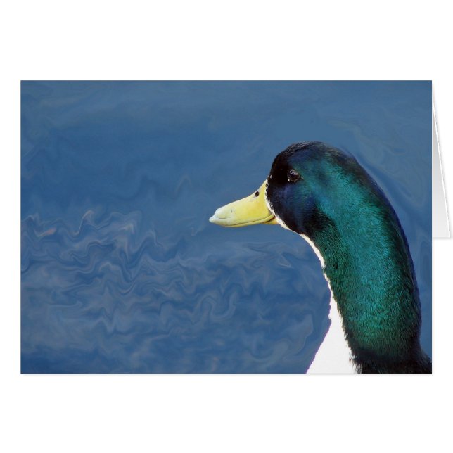 Ducky (Front Horizontal)