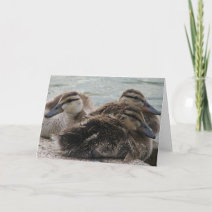 Ducky Day Greeting Card