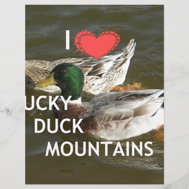 Ducky duck mountains. (Front)