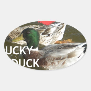 Ducky duck mountains. oval sticker
