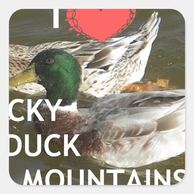 Ducky duck mountains. square sticker (Front)