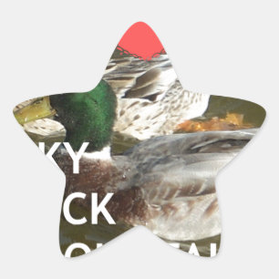 Ducky duck mountains. star sticker