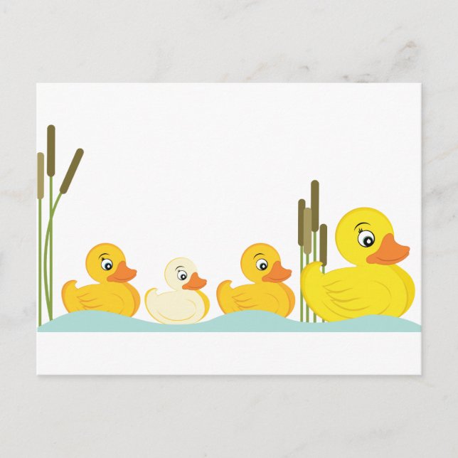 Ducky Family Postcard (Front)