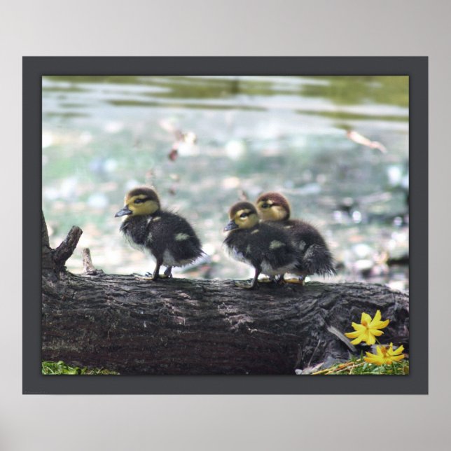 Ducky Print -24x20 -other sizes available (Front)