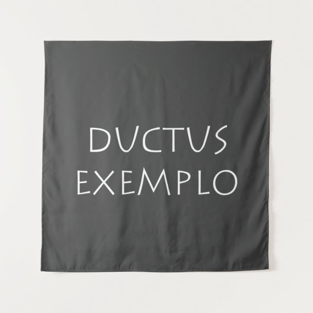 Ductus exemplo tapestry (Front)