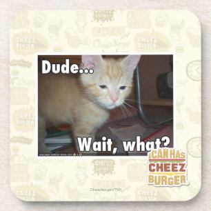 Dude Coaster