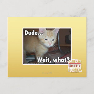 Dude Postcard