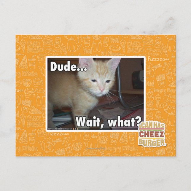 Dude Postcard (Front)